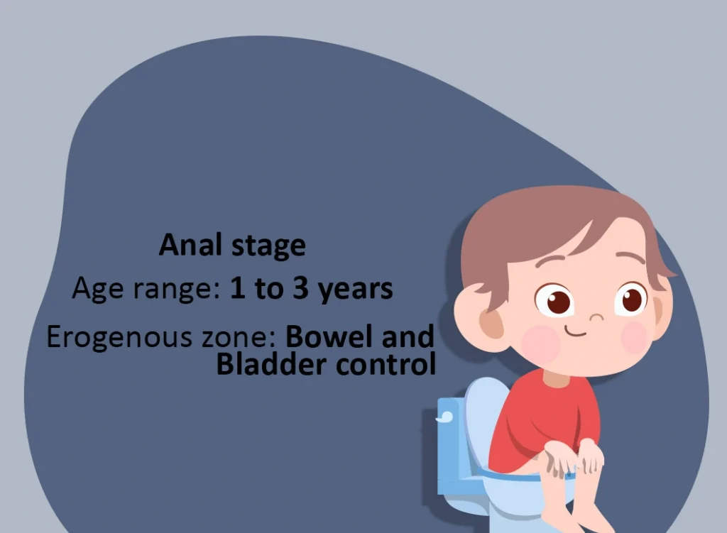anal_stage