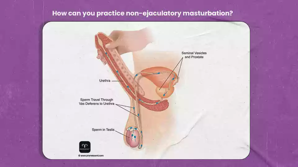 beneficios de la retención de semen