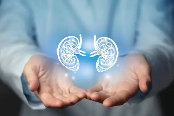 masturbation effects on kidney